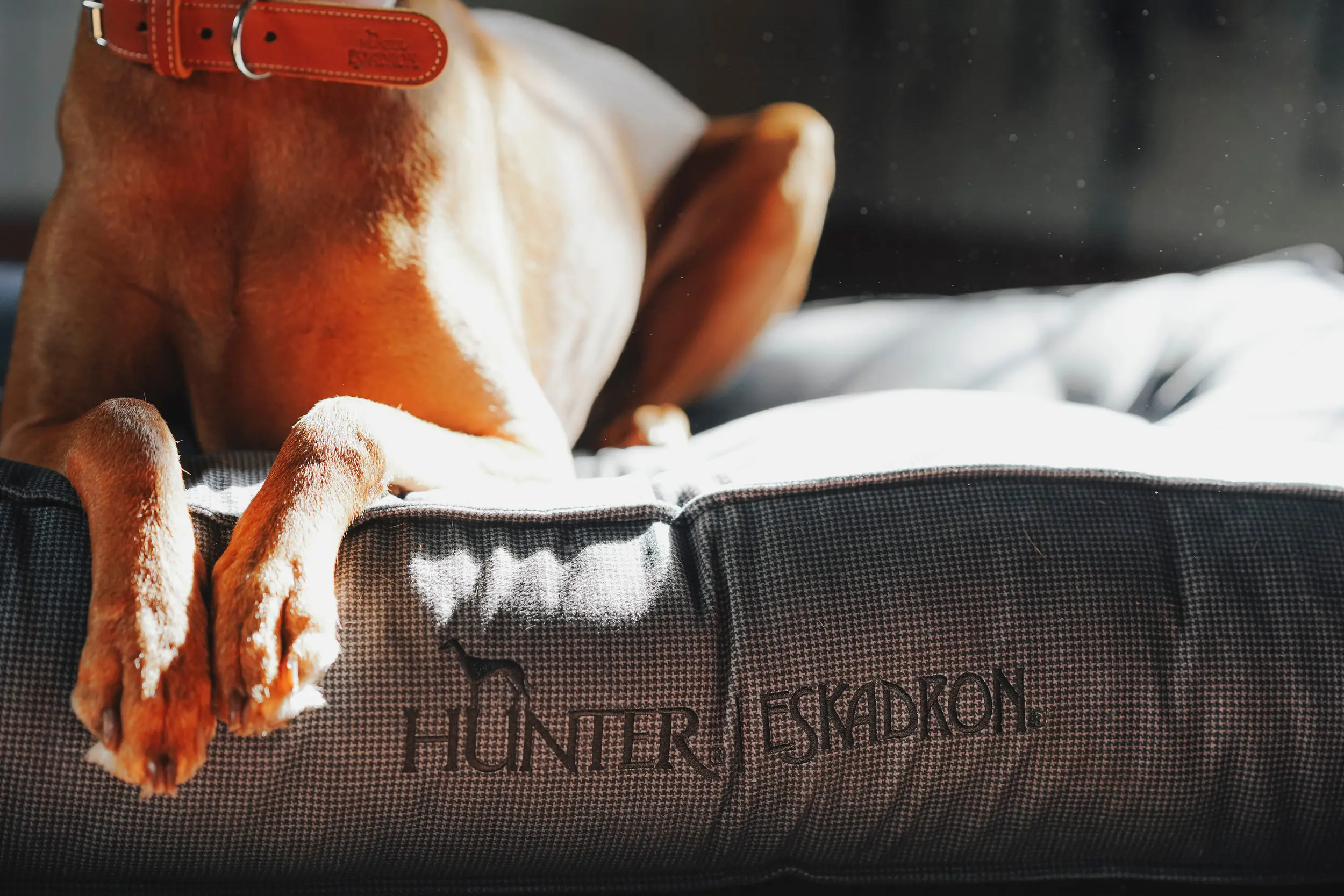 ESKADRON x HUNTER dog bed Chester with houndstooth pattern